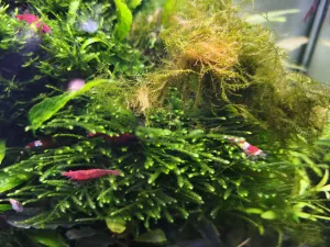 Fotka k příspěvku