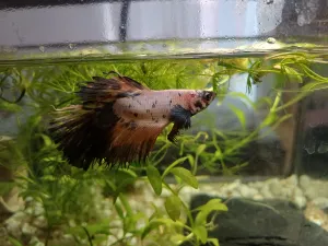 Fotka k příspěvku