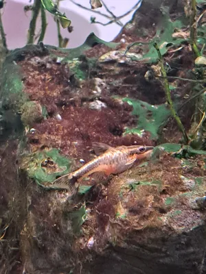 Fotka k příspěvku