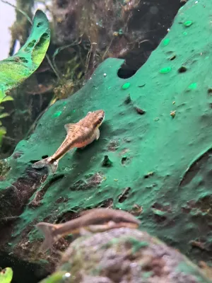 Fotka k příspěvku