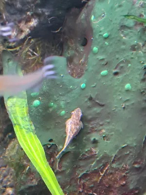 Fotka k příspěvku