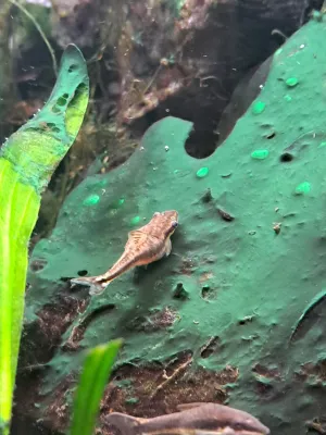 Fotka k příspěvku