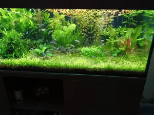 Fotka k příspěvku