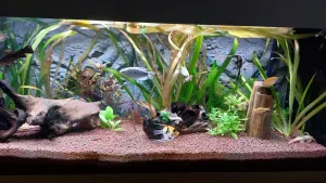 Fotka k příspěvku