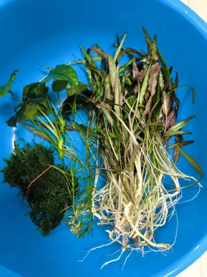 Fotka k příspěvku