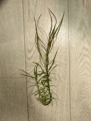 Fotka k příspěvku