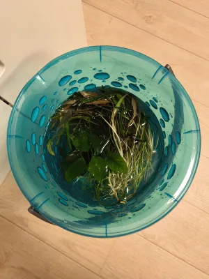 Fotka k příspěvku