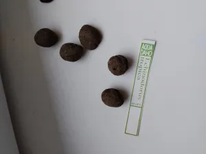 Fotka k příspěvku