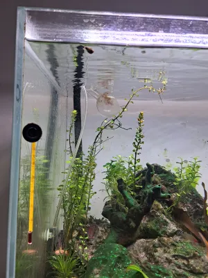 Fotka k příspěvku