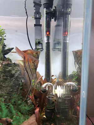 Fotka k příspěvku