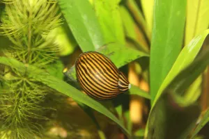 Fotka k příspěvku