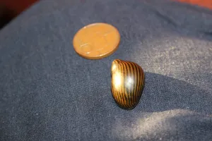 Fotka k příspěvku