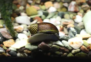 Fotka k příspěvku