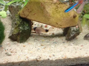 Fotka k příspěvku