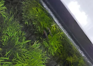 Fotka k příspěvku