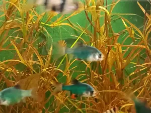 Fotka k příspěvku