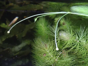 Fotka k příspěvku