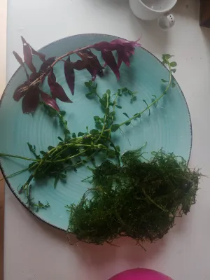 Fotka k příspěvku