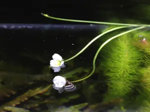 Fotka k příspěvku