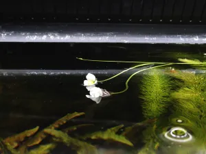 Fotka k příspěvku