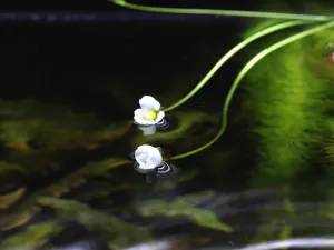 Fotka k příspěvku