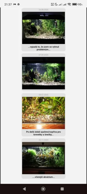 Fotka k příspěvku