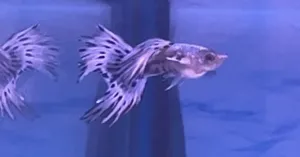 Fotka k příspěvku