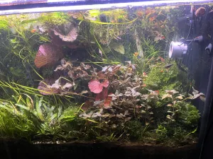 Fotka k příspěvku