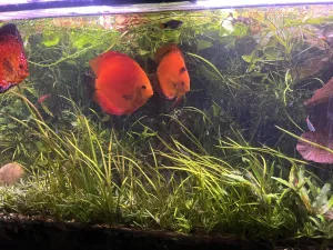 Fotka k příspěvku