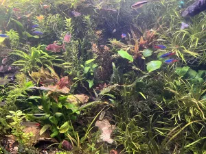 Fotka k příspěvku