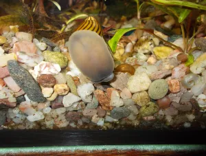 Fotka k příspěvku