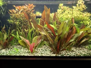 Fotka k příspěvku