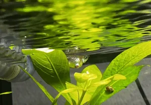 Fotka k příspěvku