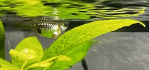 Fotka k příspěvku