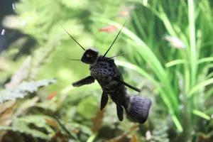 Fotka k příspěvku