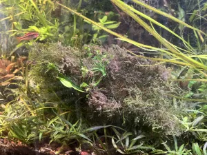 Fotka k příspěvku