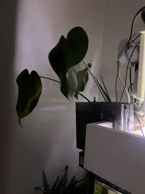 Fotka k příspěvku