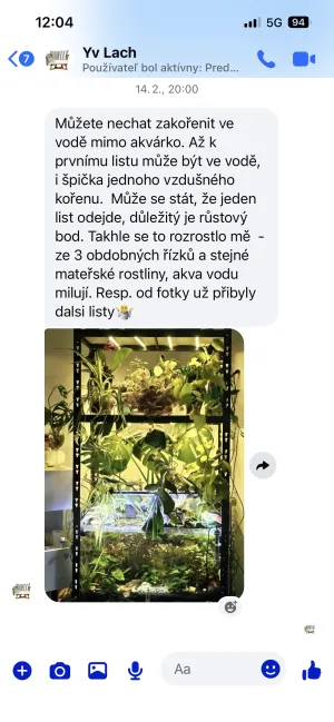 Fotka k příspěvku