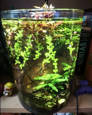 Fotka k příspěvku