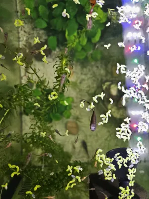 Fotka k příspěvku