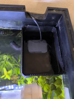 Fotka k příspěvku