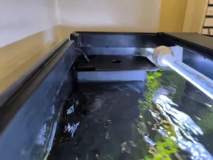 Fotka k příspěvku