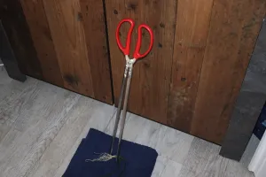 Fotka k příspěvku