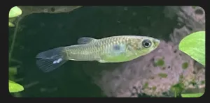 Fotka k příspěvku