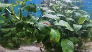 Fotka k příspěvku