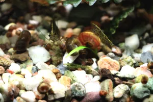 Fotka k příspěvku