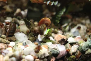 Fotka k příspěvku