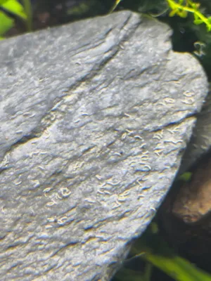 Fotka k příspěvku