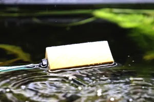 Fotka k příspěvku