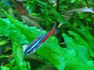 Fotka k příspěvku